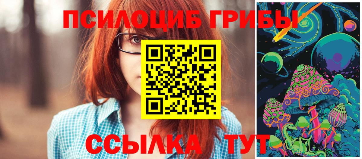 Галлюциногенные грибы мицелий  Вход с VPN  Псилоцибиновые грибы Cubensis  Владикавказ 