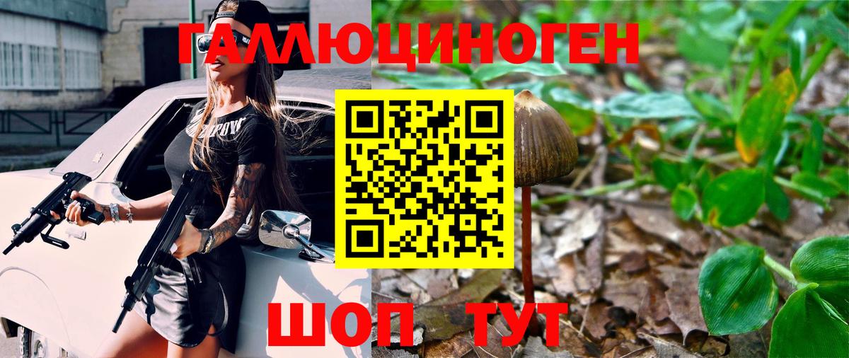 Псилоцибиновые грибы Cubensis Владикавказ
